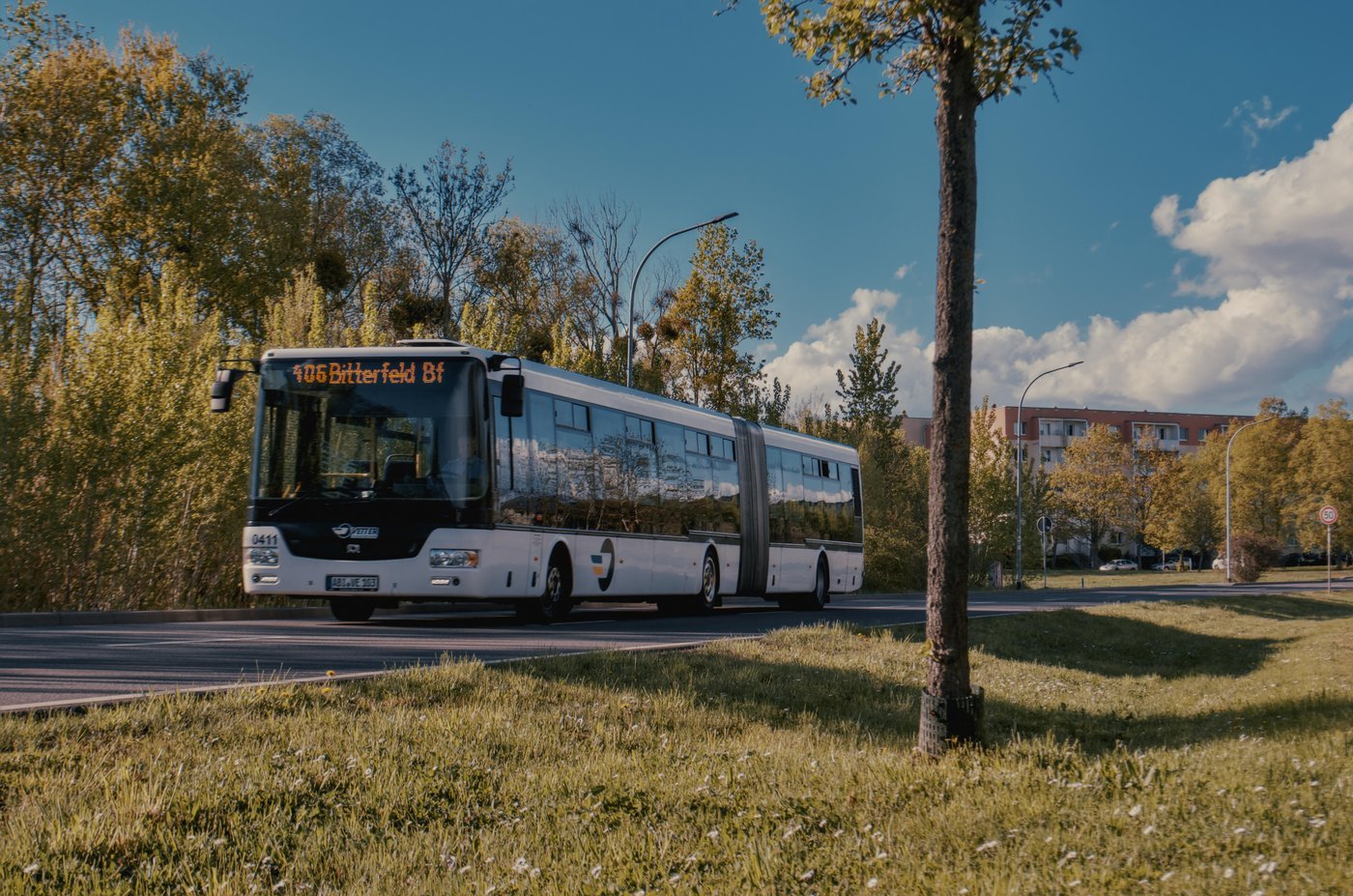 Автобус (не животное)