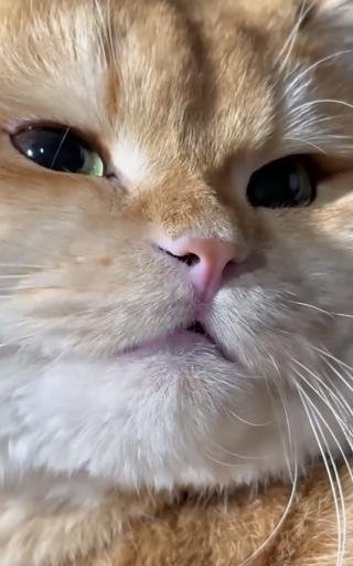 Аватар Настя Кузина