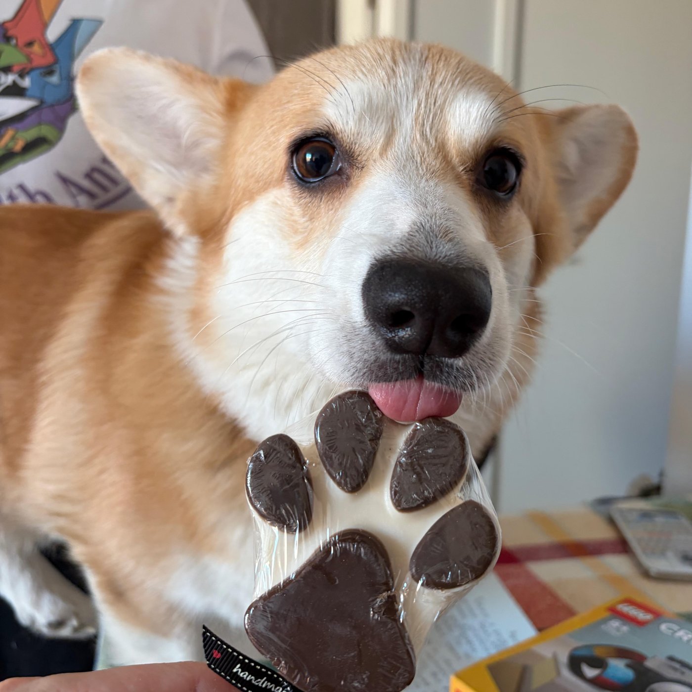 Съедобное-несъедобное