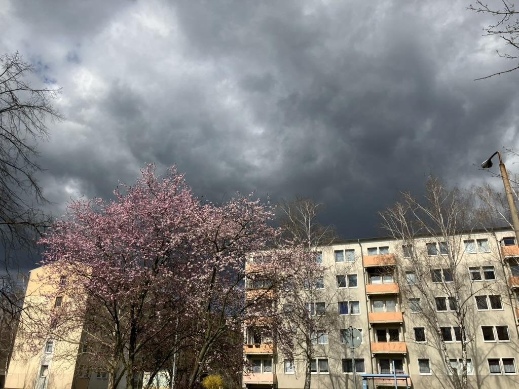 Тоже красота