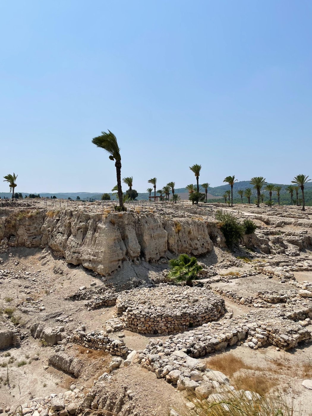 Tel Megiddo National Park он же гора Армагеддон <br>
(тот самый последний рубеж добра и зла 😂)
