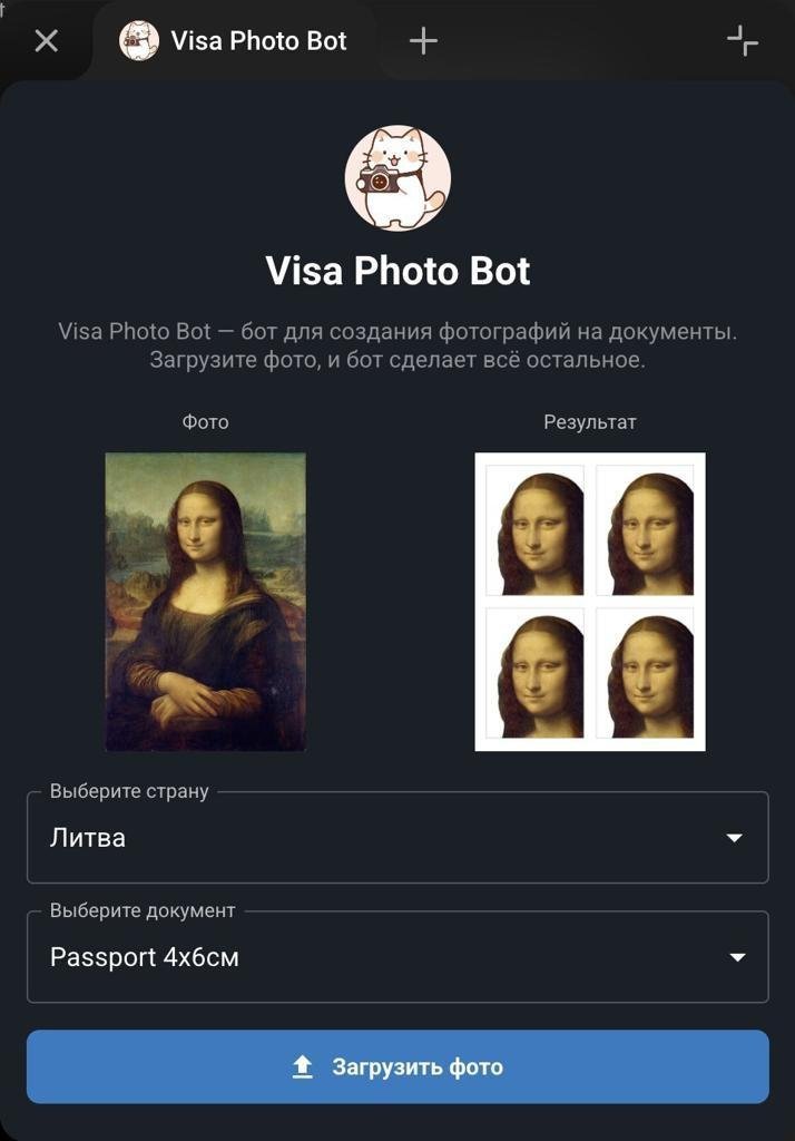 Делаем лучшие фото для визы