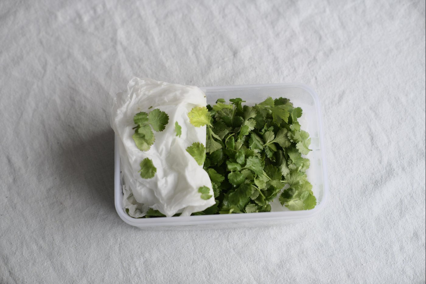 Кинза на фотографии была куплена больше 2 недель назад