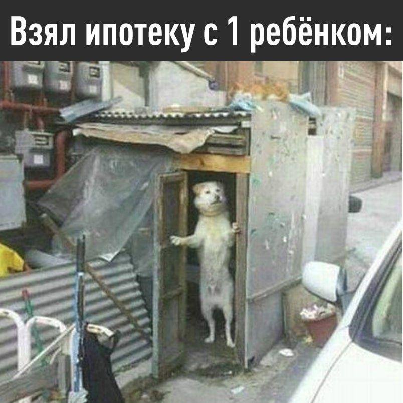 [Мем: Эксплойт]