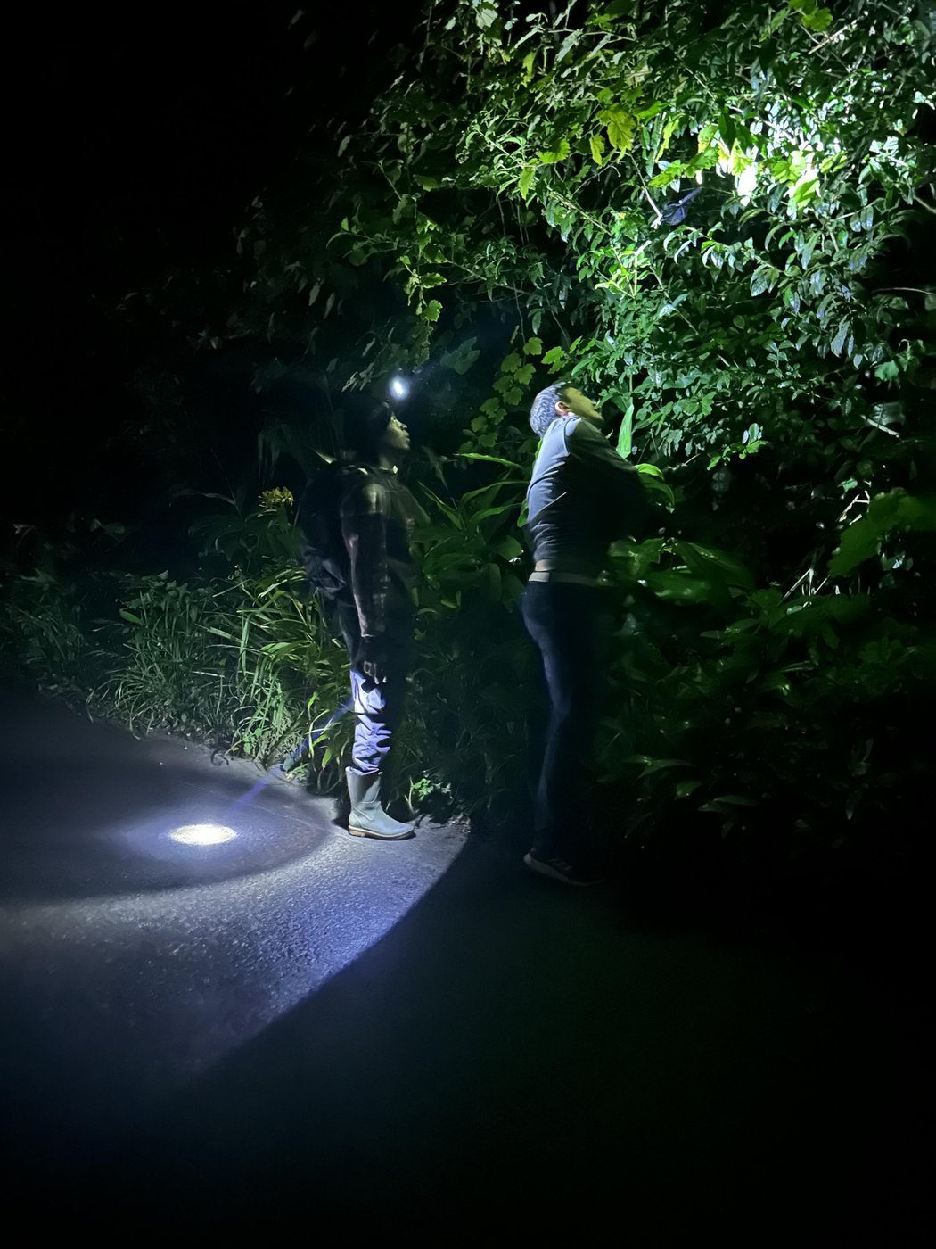 Так происходили наши поиски