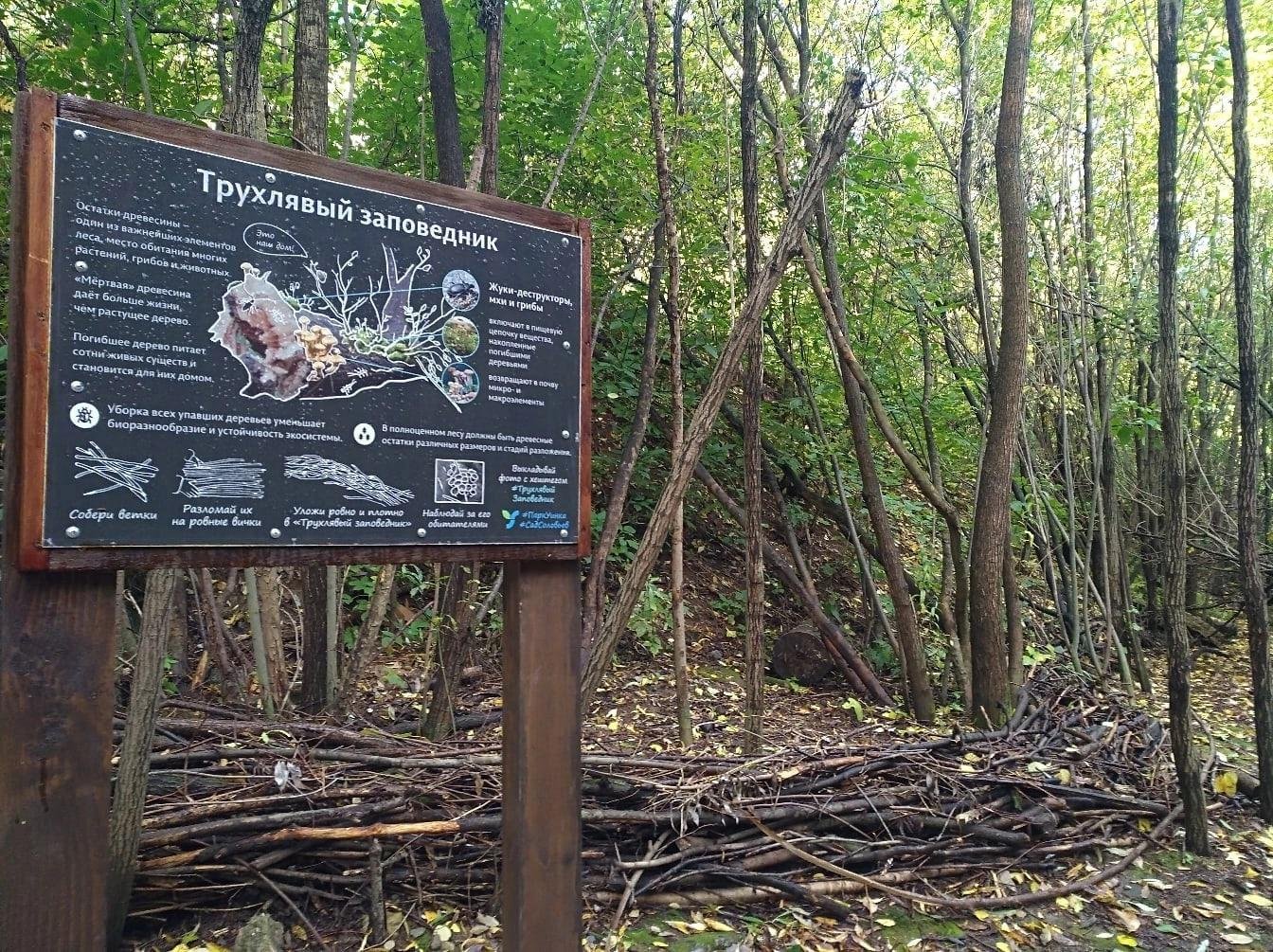 Трухлявый заповедник - напоминает о том, что остатки древесины - важная часть леса, место обитания растений, грибов, насекомых