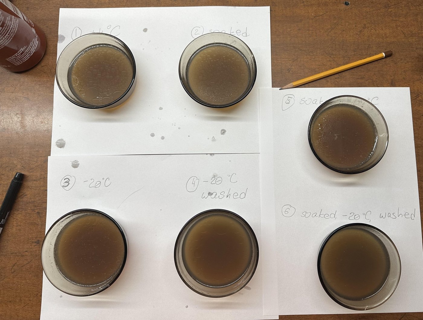 Под каждой мисочкой маркером нарисована жирная чёрная точка