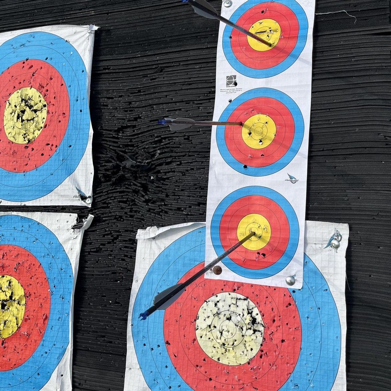 Сравнительный размер мишеней. 122 см занимет весь щит