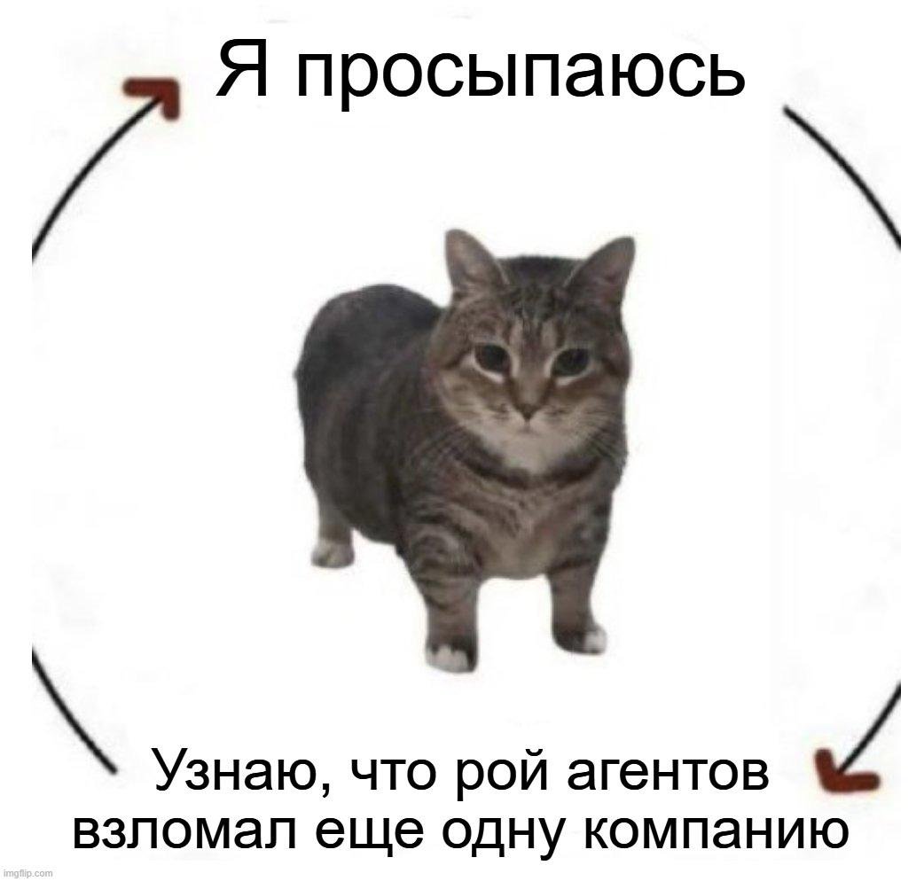 Это я. В меме нарисован я. Это мой каждый день последние пару недель… [Мем: Хабр]