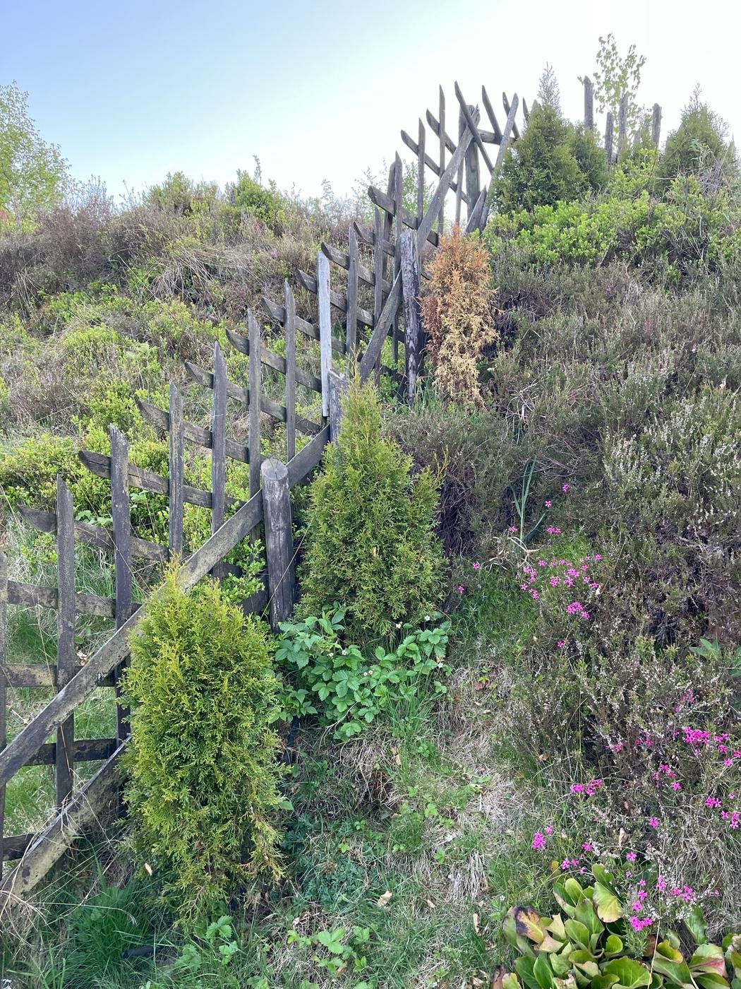 Сказано - сделано.