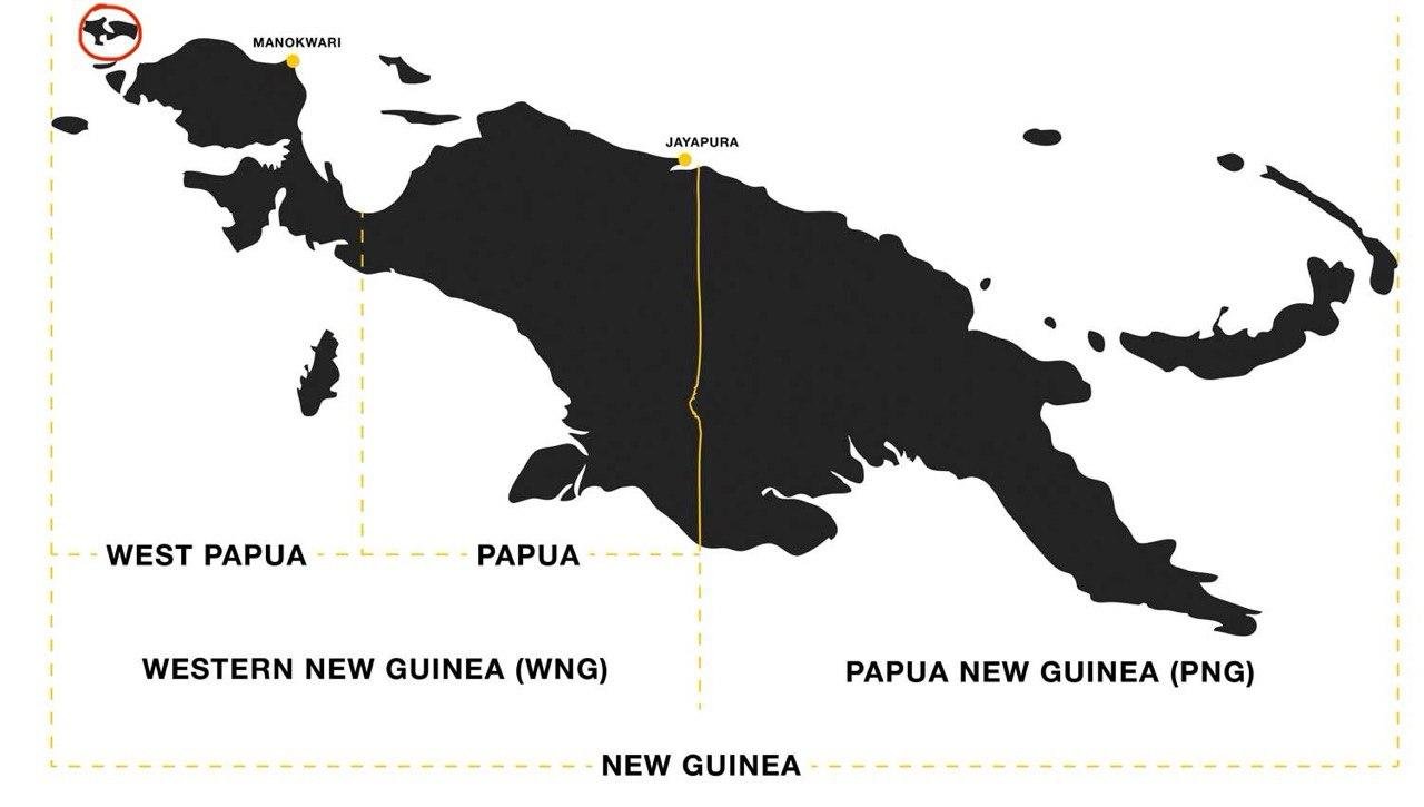 Карта острова Новая Гвинея