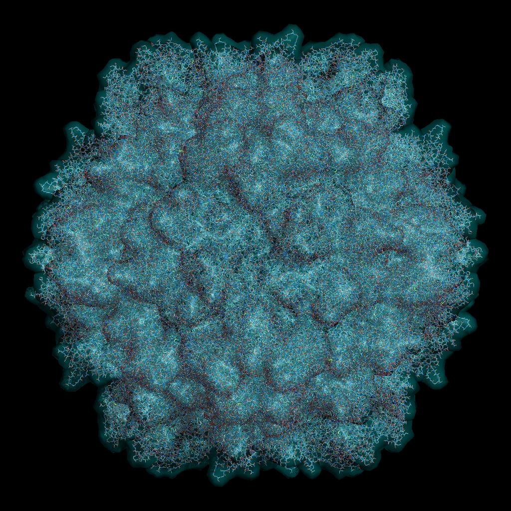 Структура на 305 тысяч атомов, для рисования поверхности которой PyMOL делает 95 миллиардов операций