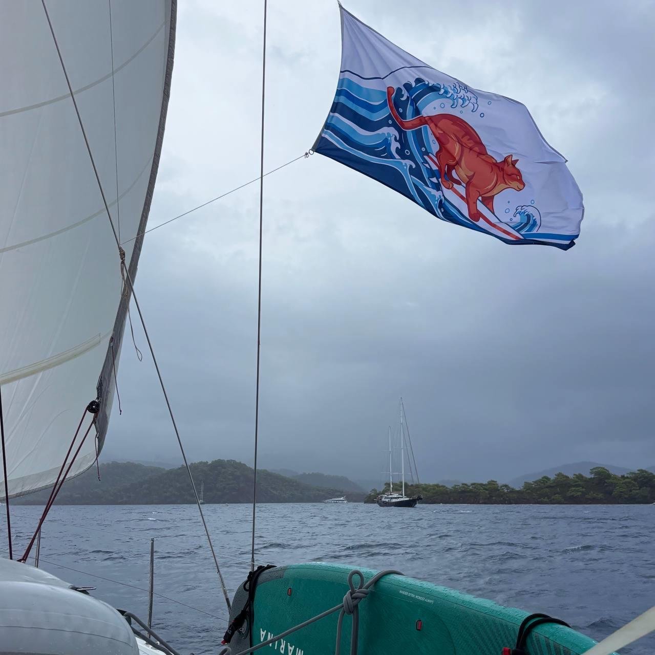 мы котики, а это наш флаг