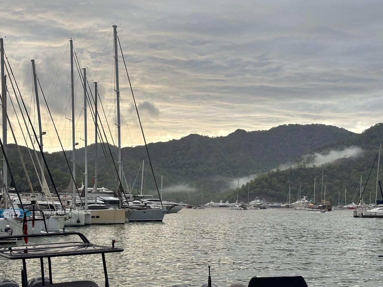 виды гёчека