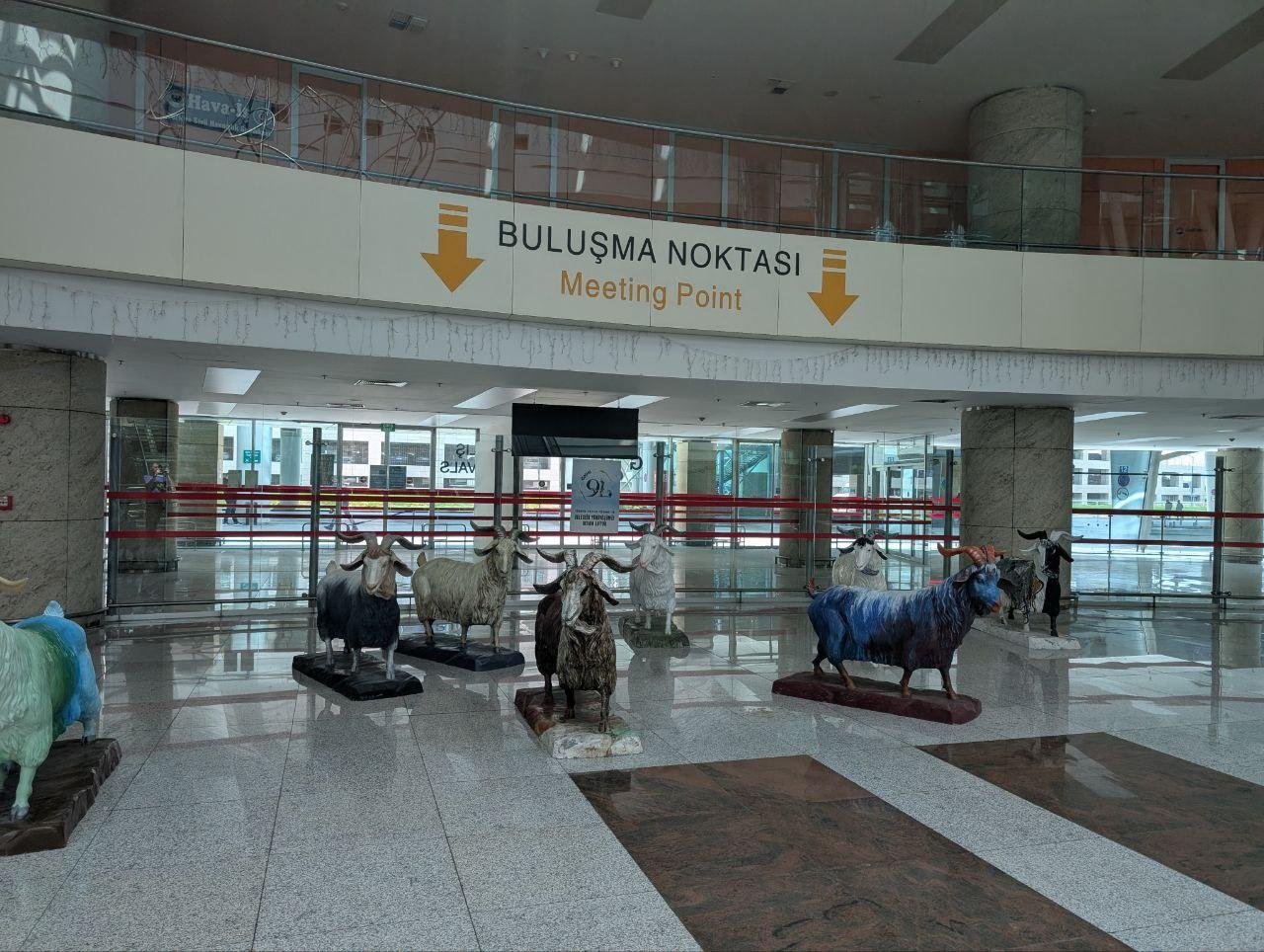 Я тут с козлами вас жду
