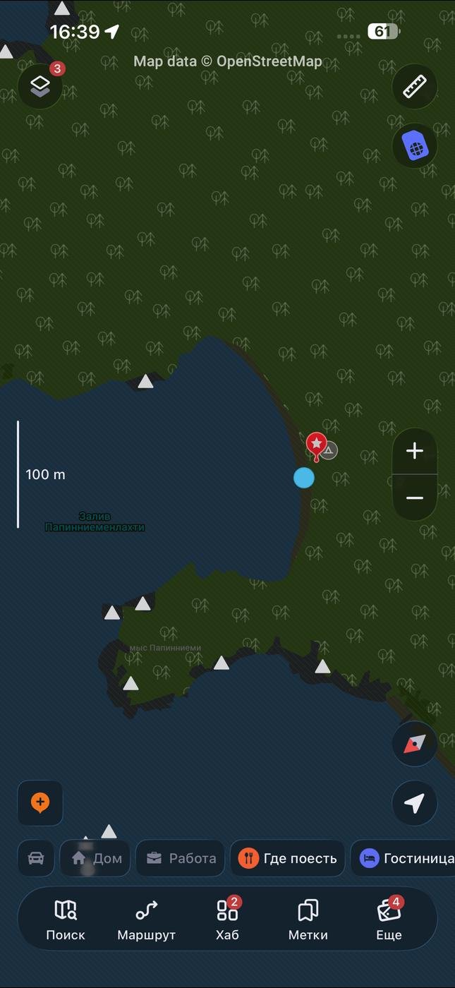 Maps.me отлично работает и в целом его достаточно