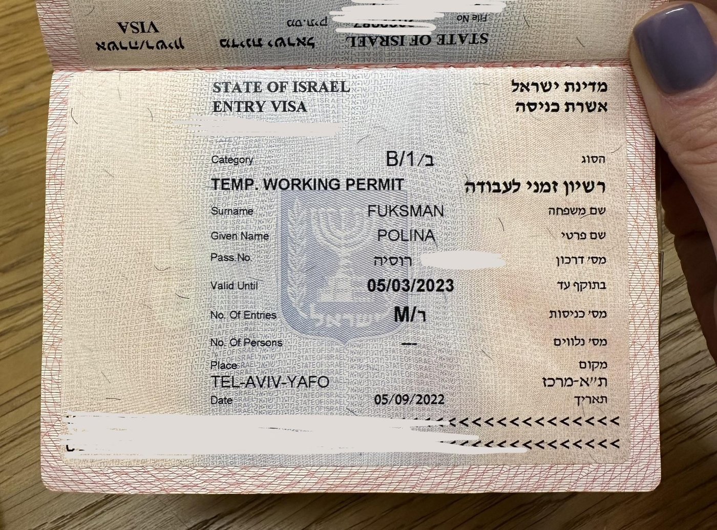 отдельная Entry Visa для пересечения границы