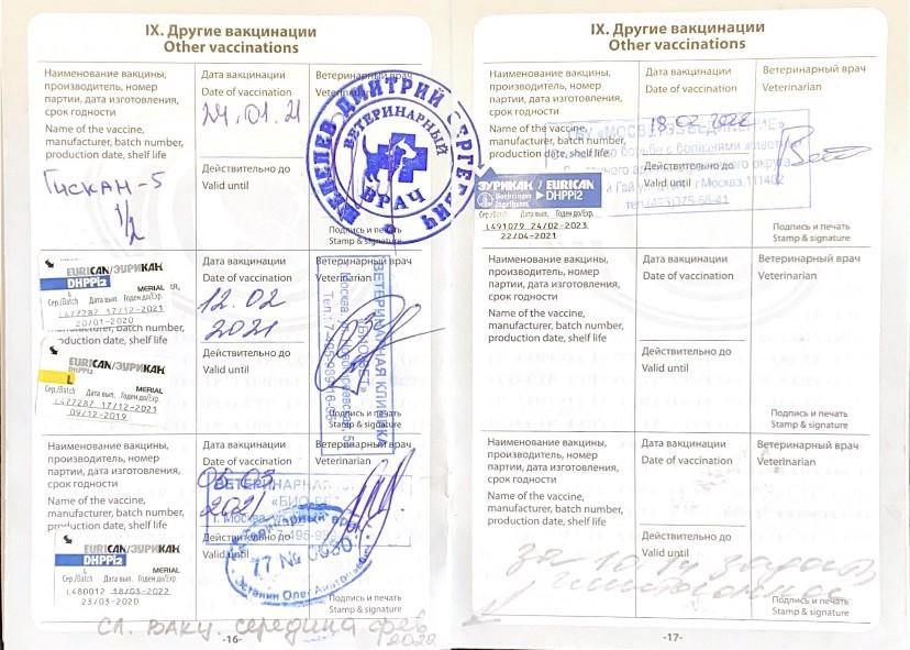 Пример оформления паспорта и названия прививок, который подойдут<br>
