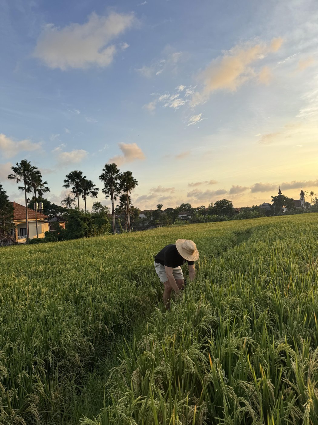 Трогаю траву на Бали