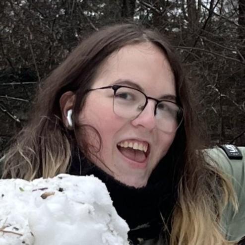 Аватар номи сапсан