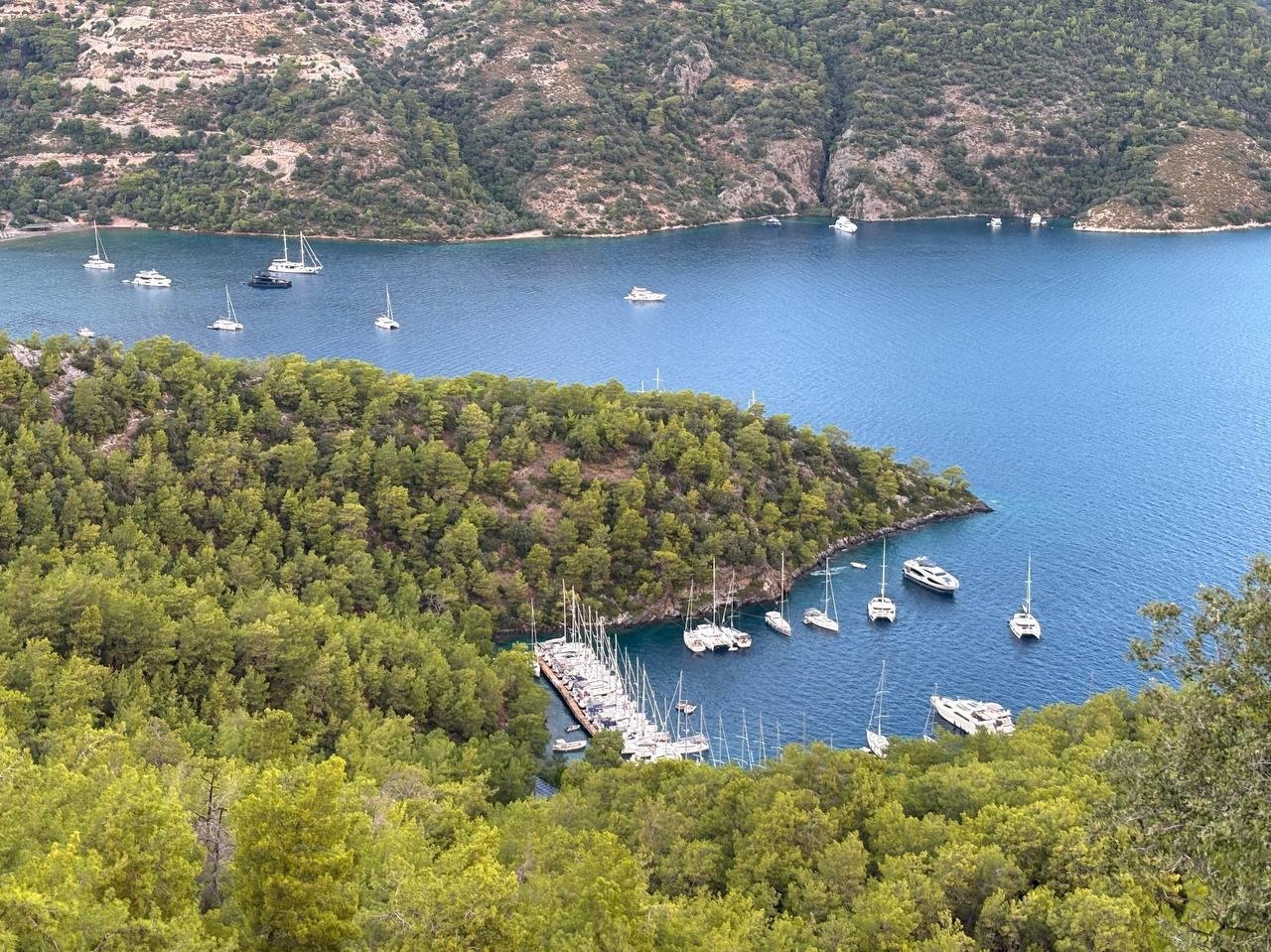 Наши (и не только) яхты