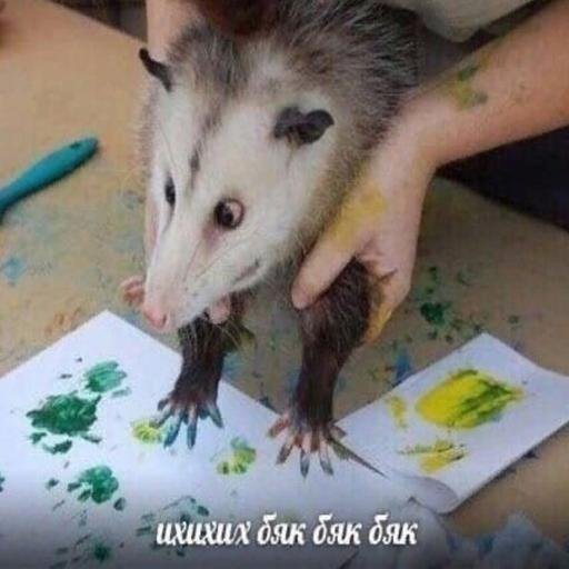 Аватар Ксения Симонова