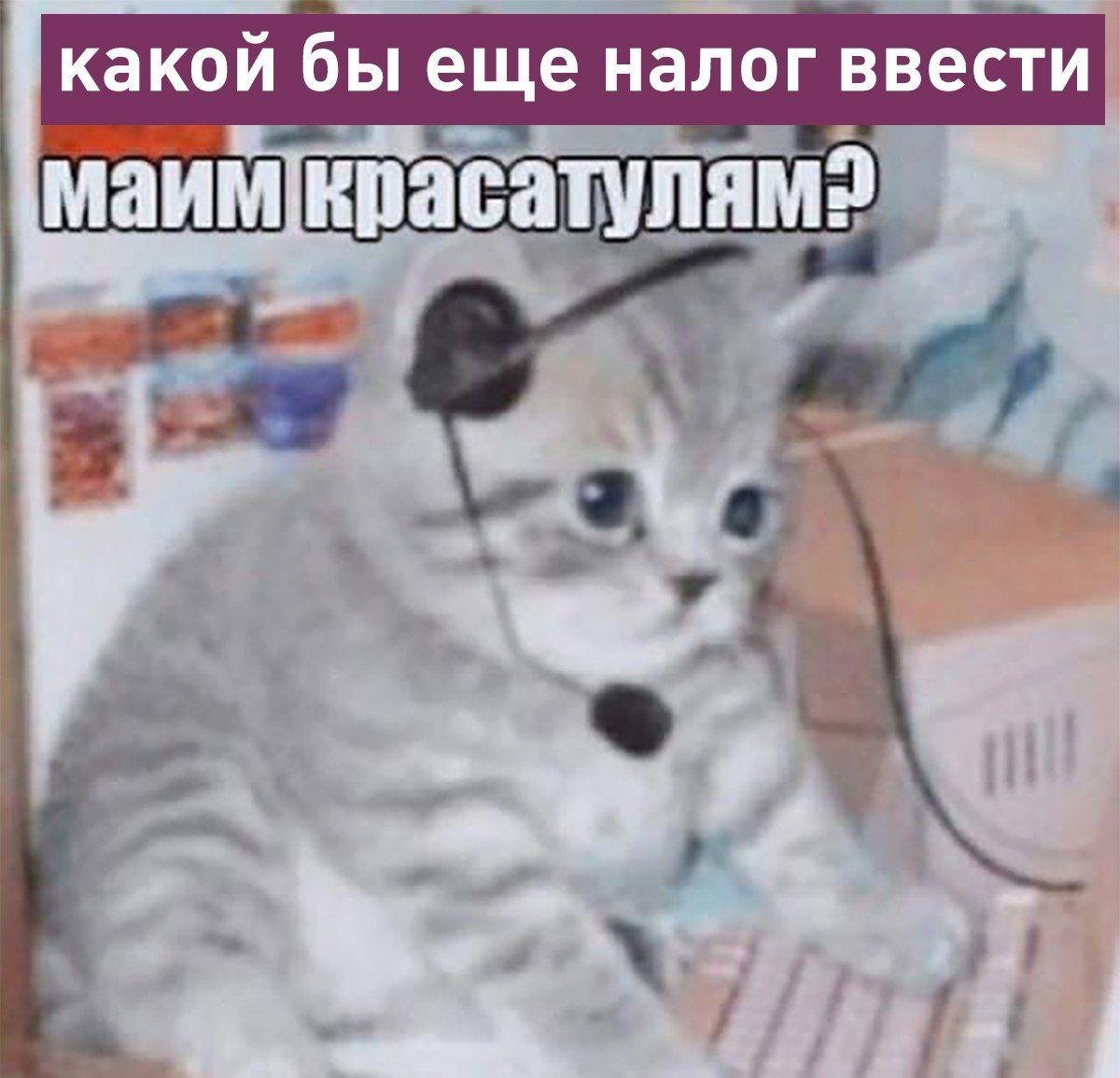 Котик, но это же ты недавно говорил, что «пересмотра налогов не будет, твердо и четко»?? [Мем: Лентач]