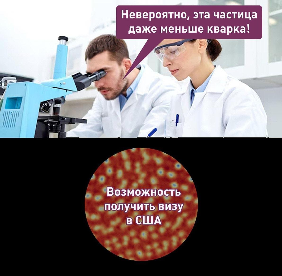 [Мем: Лентач] 