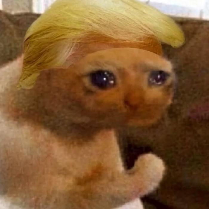 А ведь Трамп недавно заставил Альтмана, Маска и Дарио Амодея сесть за один стол переговоров! [Мем: Twitter]  