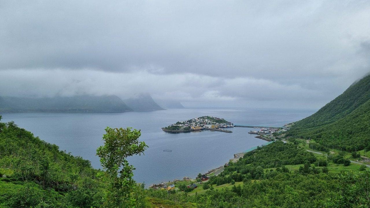 Husøy