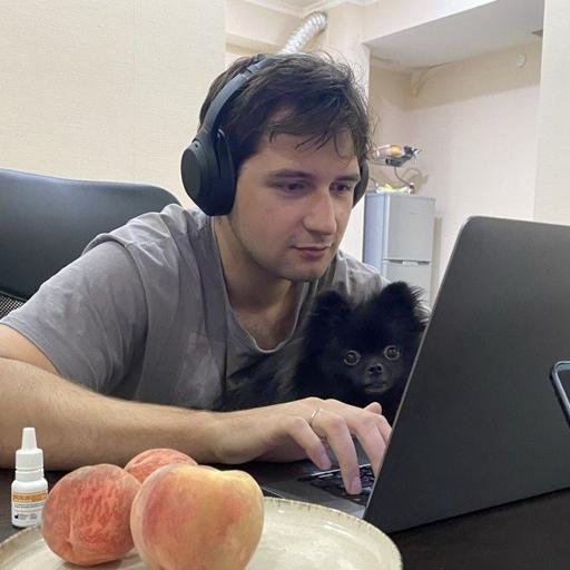 Аватар Nikita Burmistrov