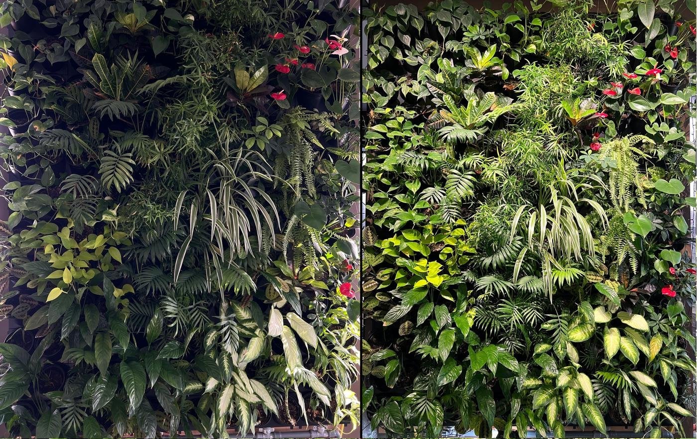 Сравнение стены без подсветки и с подсветкой