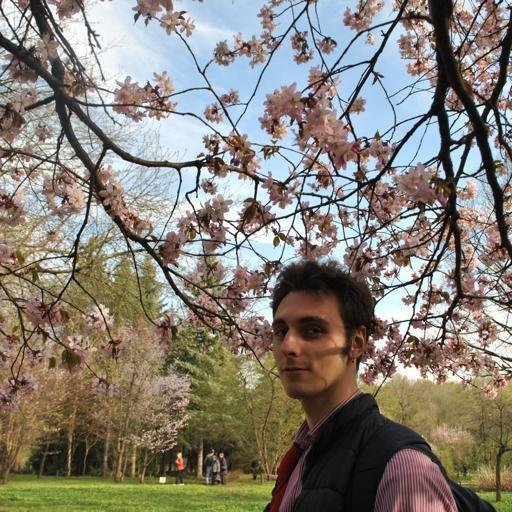 Аватар Alexander Nenashev