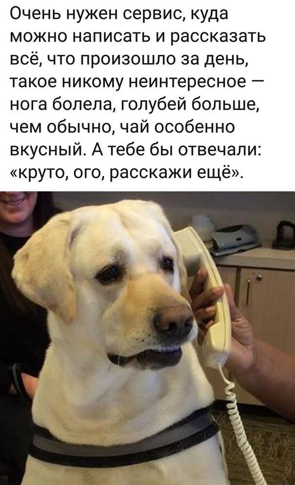 Этот мем буквально про нас