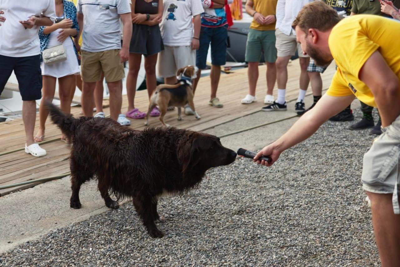 мохнатый привет всем с флота!
