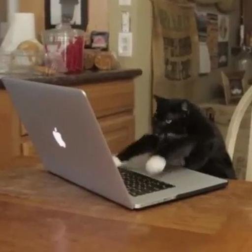 Аватар Владимир Троицкий